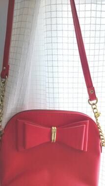 Betsey Johnson Pink Dome Crossbody Bag Gold Chain Bow Zipper
